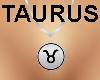 *TJ* Zodiac02 Pendant S