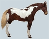Kawaii Horse Animated