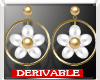 Daisies