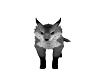 grey an black fox