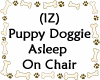 Dog Asleep On Furniture