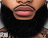 Beard