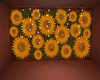 Sunflower Photoroom