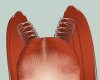 Z}Fanthi Hairs