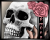 ~K~ Skull Pink Room