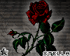!Small Red Rose