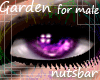 n: garden vivid purple/m