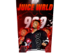 RIP Juice World Cutout