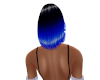 KAT OMBRE BLKNBLUE SHORT