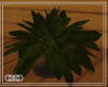 ∞ AtticPottedPlant