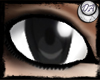 Kirito Unisex Eyes ~DA~