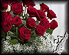 Field Of Roses Bouquet