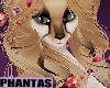 ✯Honey✯ Hair V2