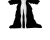 v. Black  Coat RLL