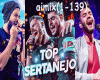 Top Sertanejo 2022