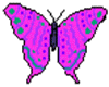 Animated Pink Butterfly