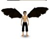 Gargoyle vampire wings.