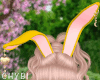C~Bunny Yellow Ears