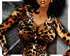 Leopard Print Suit BMXXL