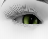 green cat's eyes