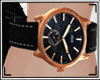 SF Terra Watch