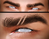 ►Eyebrows★BX2