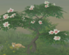 Garden Magnolia Tree
