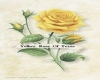 SV Yellow Rose Of Tx