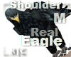 R|C Eagle Black M