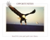 Eagle-Opportunities