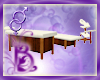 LSR Massage Table Set