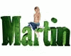 Martin 3D Name