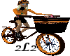 2L2 Bicycle