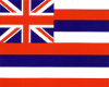  Hawaii flag
