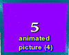 Animated Frame