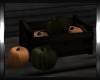 єɴ| Pumpkin Crate I