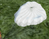 WHITE parachute v1