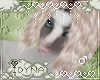 Silver Rain - Blake