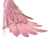 flamingo tail 1