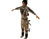 anim native 2