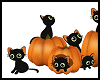 Pumpkin Kittys