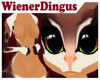 W! Binky I Fur