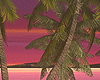 Palm Trees_Deco