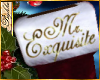 I~Stocking*Mr. Exquisite