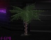 Neon Lit Palm