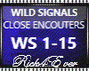 WILD SIGNALS