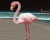 *Pink flamingo