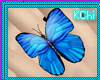 [KChi]Blue Butterfly F/M