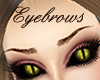 Real Brown Eyebrows