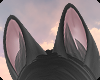 🌻Vixen Ears"Crow